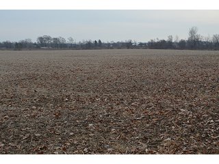 Property photo 13 - LAND AUCTION, 77 Acres offered in 3 Tracts